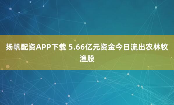 扬帆配资APP下载 5.66亿元资金今日流出农林牧渔股